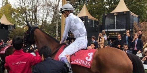 【仏オペラ賞】武豊ラルク13着敗退 ワイルドイリュージョンが優勝