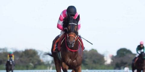 【毎日王冠】ケイアイノーテック初古馬対戦で善戦の5着