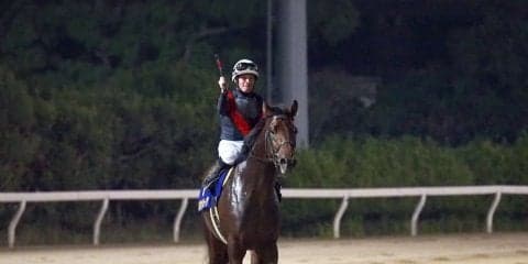 【南部杯】ゴールドドリーム5枠7番、ルヴァンスレーヴ7枠12番 世代交代なるか！？