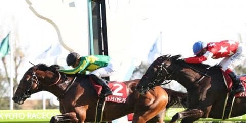 【京都大賞典】サトノダイヤモンド復活！約1年半振りの勝利
