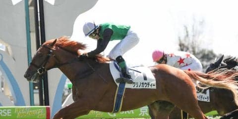 【京都5R/2歳新馬】クリノガウディーがゴール前差し切り！母ブエナビスタのタンタラスは9着大敗