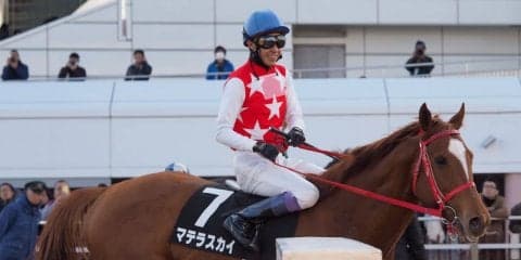 【東京盃】枠順と見どころ マテラスカイのスピードが1枚抜けているか