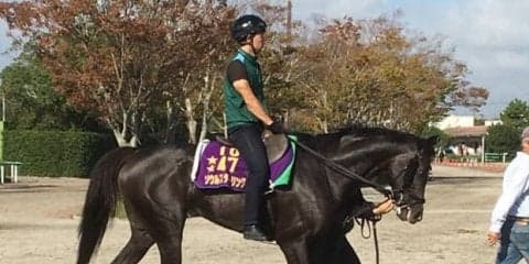 【府中牝馬S】ソウルスターリング 前走3着で復調の兆し