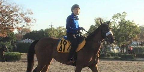 【府中牝馬S】フロンテアクイーン 相手なりに走る安定感