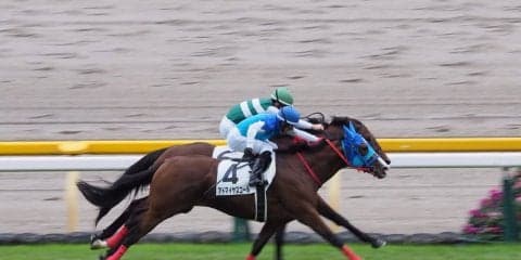 【東京3R/2歳未勝利】アドマイヤスコールがゴール前の大接戦を制す！ソルドラードはハナ差の2着