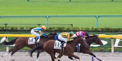 【東京2R/2歳未勝利】ハクナマタタが抜け出して人気に応える！