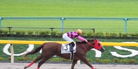 【東京4R/2歳新馬】スマートグランダムが快勝！デムーロ「すぐに良いところにつけられた」