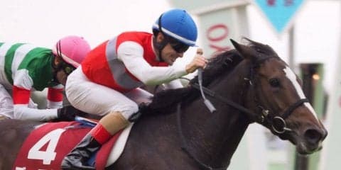 【府中牝馬S】ルメール「直線入ってからちょっと心配しました」ディアドラが豪脚一閃！32.3の上がりで差し切る