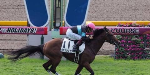 【東京1R/2歳未勝利】ヴァッシュモンが圧倒的人気に応える