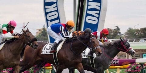 【東京4R/2歳新馬】オルフェーヴル産駒 ラストヌードルが差し切り！