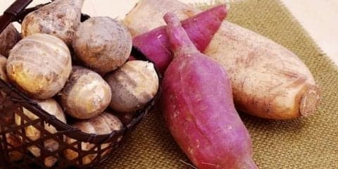 栄養士が伝授！秋野菜を上手に食べるコツ