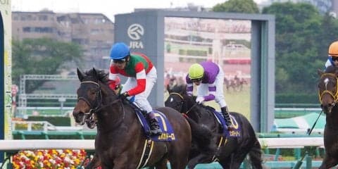 【菊花賞】登録馬と見どころ 皐月賞馬エポカドーロが中心