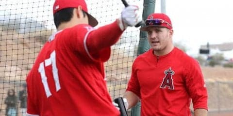 監督不在のMLB6球団で最も人気はエンゼルス!?　理由は「トラウトとオオタニ」