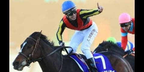 長距離レースの菊花賞は血統で見る。激走するのはこの２頭！