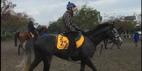 【富士Ｓ】ウインブライト 松岡「みっともない競馬にはならないと思う」