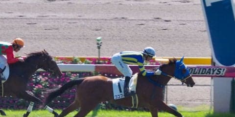 【東京3R/2歳未勝利】ココフィーユが圧倒的人気に応える！父にロードカナロア産駒