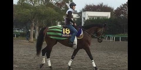 【菊花賞】ブラストワンピース 池添謙「菊花賞は何としても一緒に取りたいです」