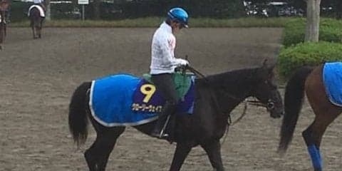 【菊花賞】グローリーヴェイズ 古馬を破った勢いでG1タイトルへ挑む