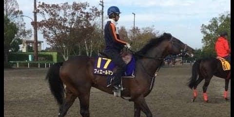 【菊花賞】フィエールマン 絶好調ルメール騎乗で魅力十分