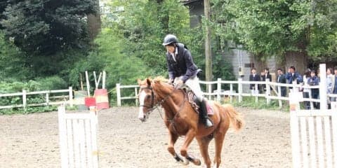 【馬術部】あと6秒で基準タイムの好成績 新人戦で健闘