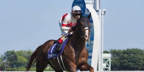 【天皇賞(秋)】登録馬と見どころ スワーヴリチャード レイデオロなど