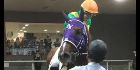 伏兵トリヴォルテソーロが低評価を覆す！木幡育「リズムよく運べました」