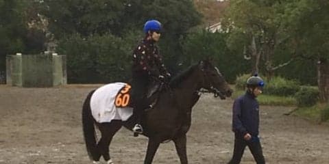 【アルテミスS】グレイシア レースぶりの幅魅力