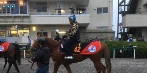 【アルテミスS】ウインゼノビア 松岡「想像していた以上の上昇カーブ」