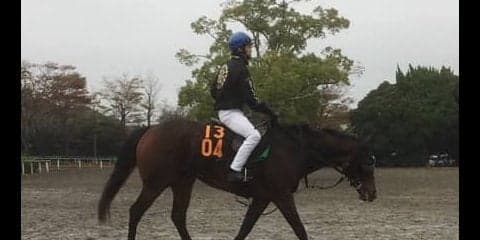 【アルテミスS】ミリオンドリームス 藤沢和師「レースがとても上手」