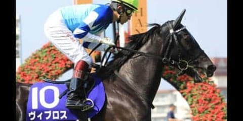 豪華絢爛の天皇賞・秋。人気の盲点となる３頭が身も心も温めてくれる