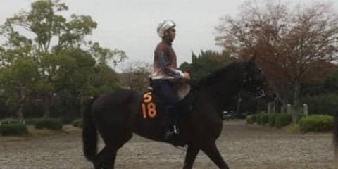 【アルテミスS】シェーングランツ 藤沢和師「東京に替わるのはいいと思う」