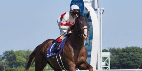 【天皇賞・秋】枠順と見どころ スワーヴリチャードは4枠5番