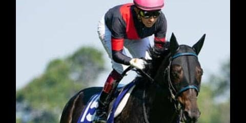 天皇賞・秋の制覇に近いのはクラシックとは無縁だった明け４歳馬だ