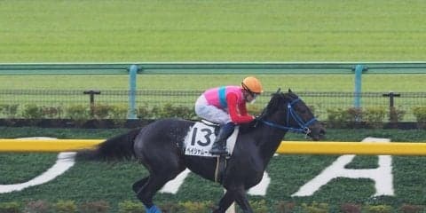 【東京4R】ペイシャムートンが差し切りV！オドノヒューが導く