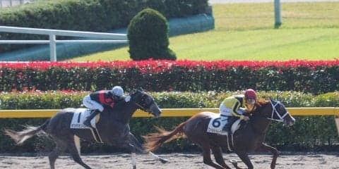 単勝131倍 ワイルドトレイダーが差し切りV！ホウオウモントレーは2着