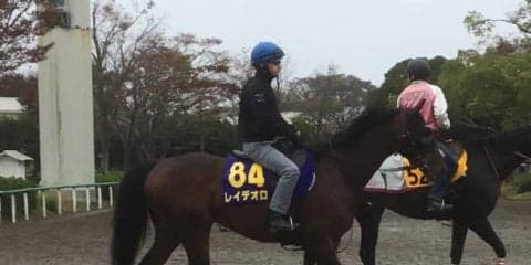 【天皇賞・秋】レイデオロ 藤沢和師「ヤル気十分ですよ」