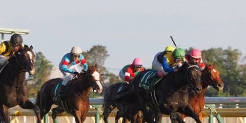 【アルテミスS】藤岡康「勝ちに行った分の差」レース後 ジョッキーコメント