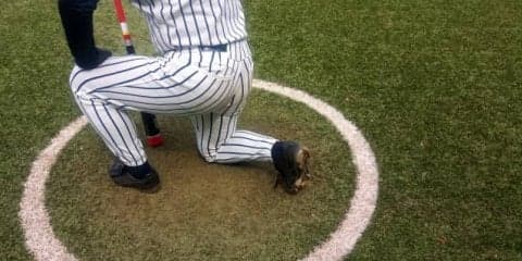 福良監督は「綾鷹」、ロッテ福浦は「ブラックブラック」、ノムさんは…プロ野球人の「お口の友」を探る