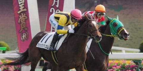 【東京3R】モレイラ 戸崎の追い比べ！マジックリアリズムが抜け出す