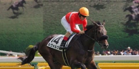 【東京5R/新馬戦】ディープインパクト産駒 ルヴォルグが完勝！