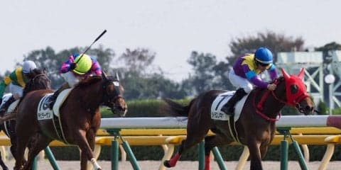【東京4R/2歳新馬】ワークフォース産駒 シトラスノキセキがデビュー勝ち