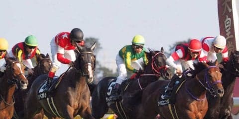 【紅葉S】レッドオルガがゴール前強襲！デムーロの落ち着いた捌きが際立つ