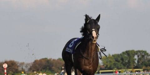 【天皇賞・秋】ダンビュライト放馬で悲鳴 競走除外