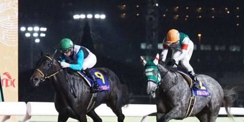 【JBCレディスクラシック】登録馬と見どころ プリンシアコメータなど