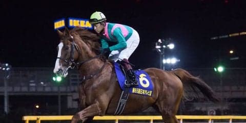 【JBCクラシック】枠順と見どころ ケイティブレイブは4枠8番