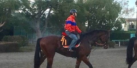 【京王杯2歳S】カルリーノ 高橋裕師「距離が伸びるのもいいイメージ」