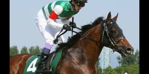 舞台も展開も特異なJBCクラシックは「老練な３頭」に旨みあり