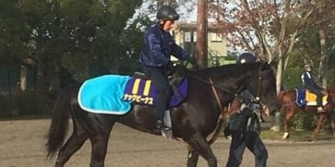 【JBCスプリント】ナックビーナス ダートでも魅力十分