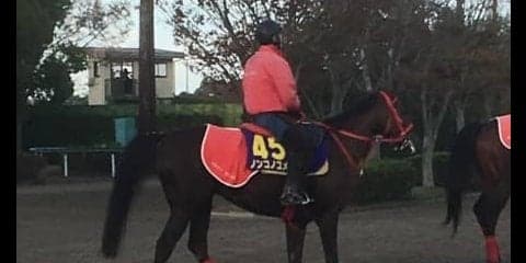 【JBCクラシック】ノンコノユメ 加藤征師「ペースがカギ」