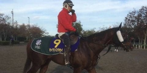 【JBCスプリント】セイウンコウセイ 上原師「久々のダートがどうか」